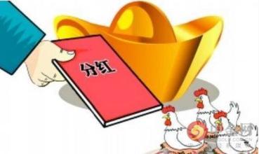 眾祿基金買(mǎi)賣(mài)網(wǎng)基金分紅方式詳解